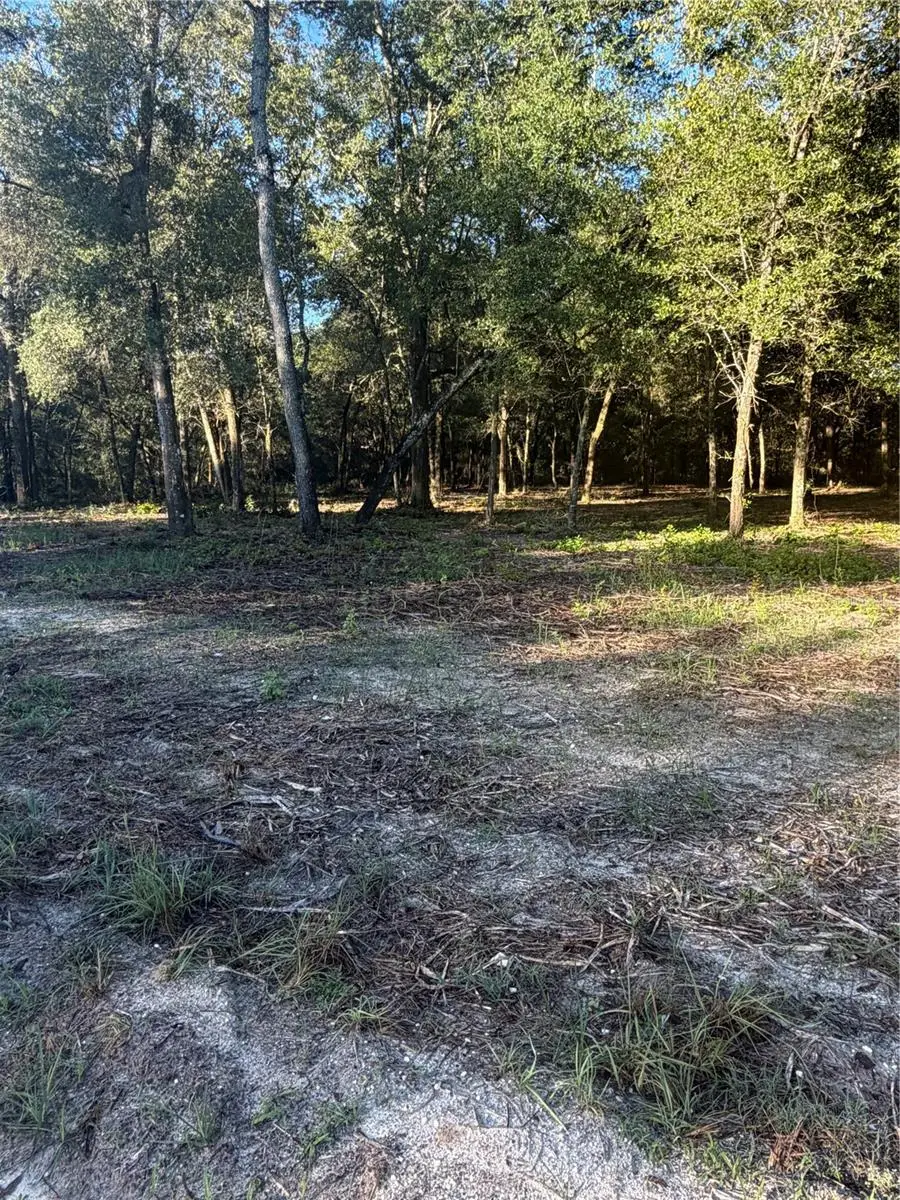 0 SW 150th, Ocala, FL 34481 - #2