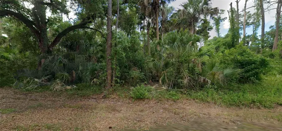 17403 Orion Avenue, Port Charlotte, FL 33954 - #2