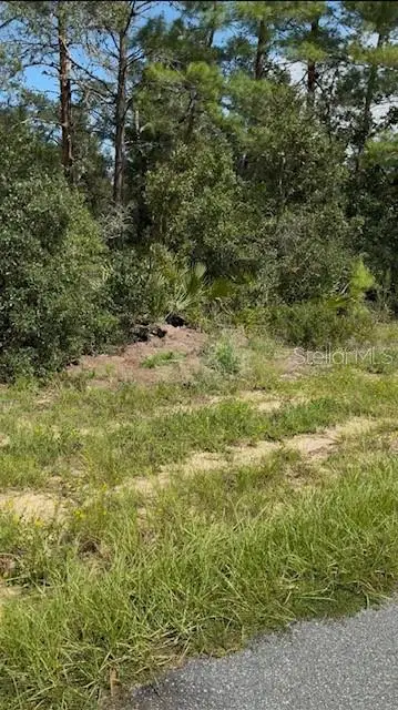 xxx SW 30th Ter Road Road, OCALA, FL 34473