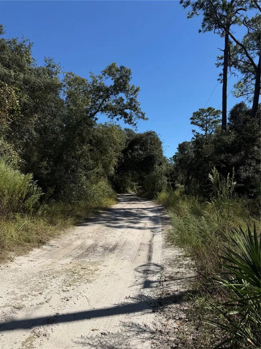 TBD SW 151st Place, Dunnellon, FL 34432 - #3