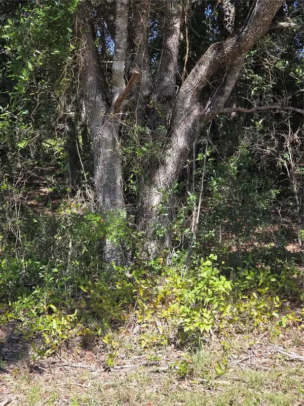 115 Street Road, OCKLAWAHA, FL 32179