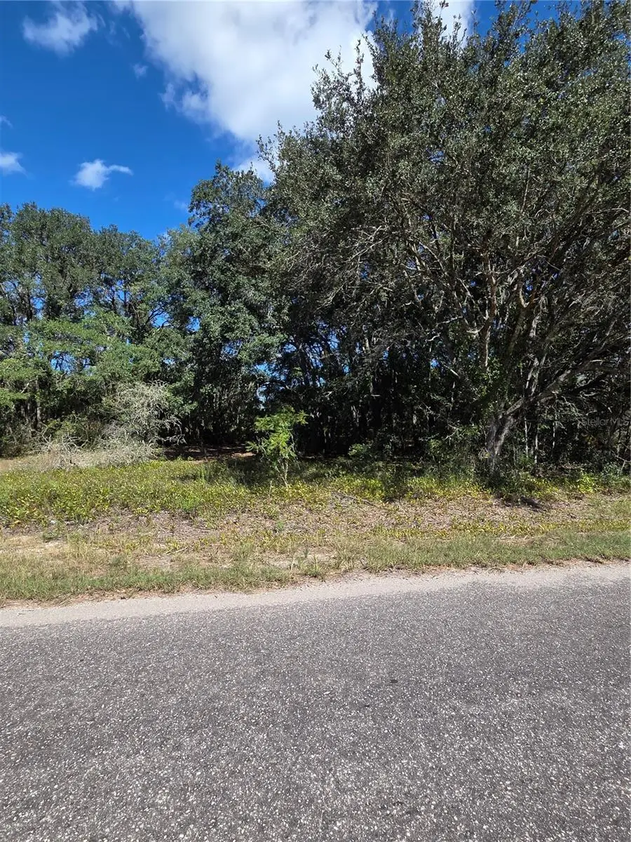 115 Street Road, Ocklawaha, FL 32179 - #2
