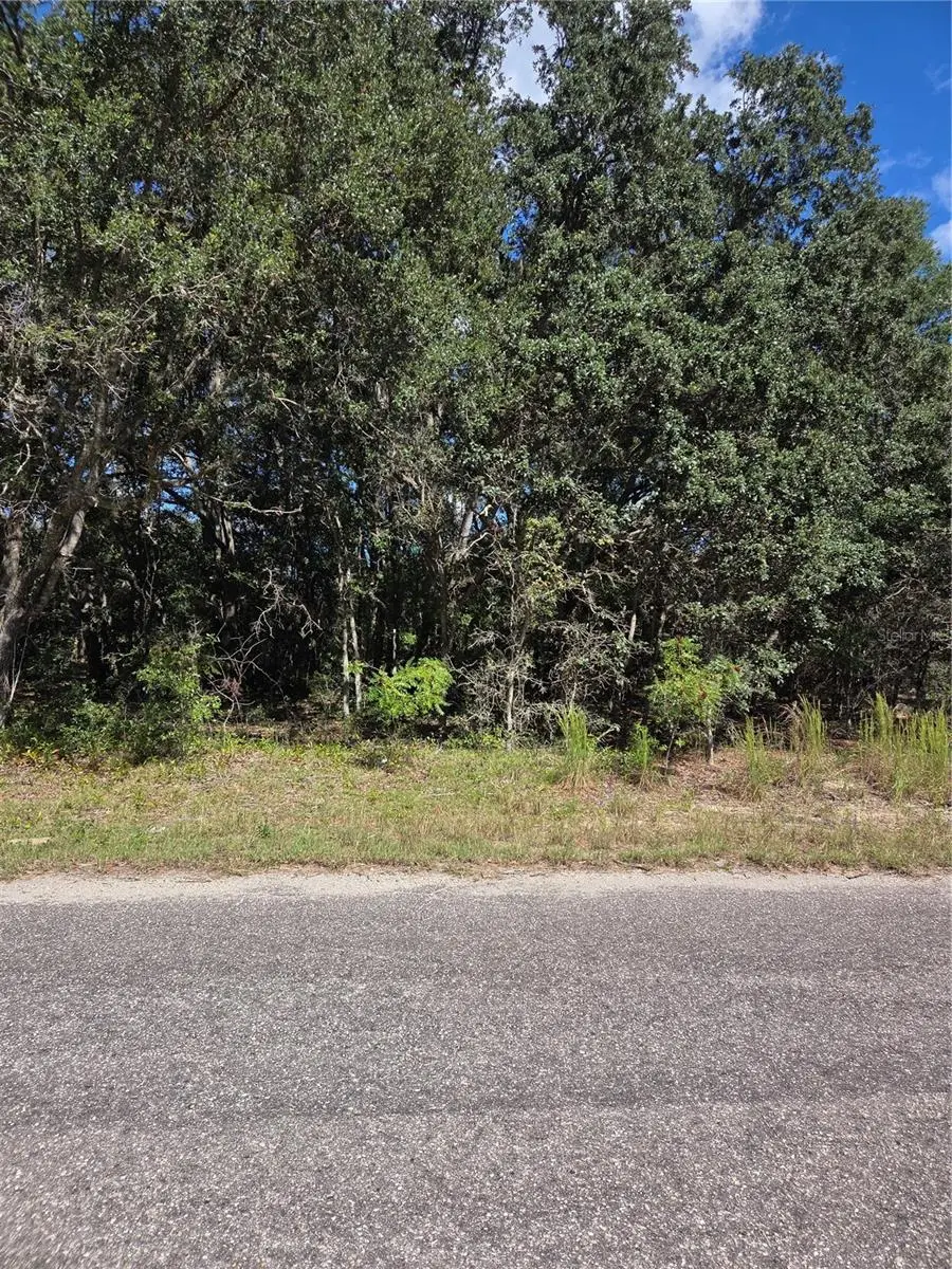 115 Street Road, Ocklawaha, FL 32179 - #3