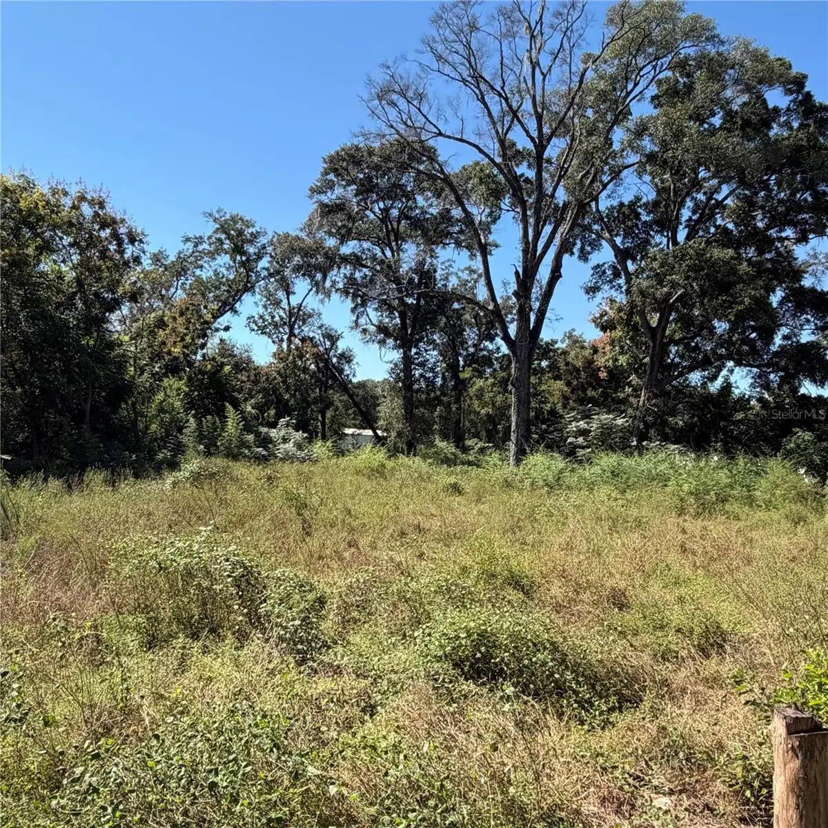 16612 SE 25th Avenue, Summerfield, FL 34491 - #1