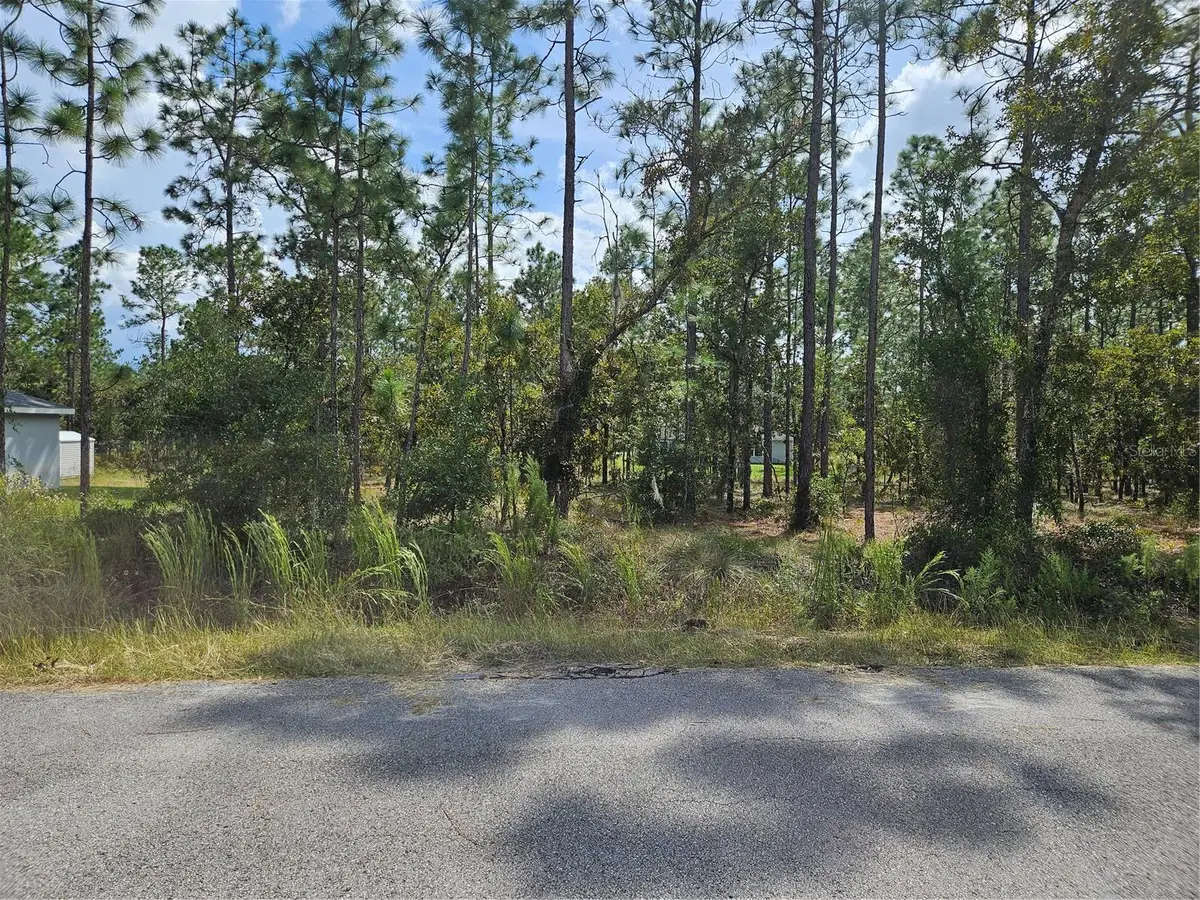 TBD NW Tamarind Lane, Dunnellon, FL 34431 - #1