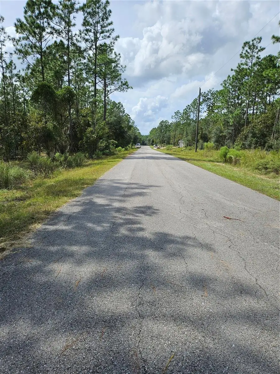 TBD NW Tamarind Lane, Dunnellon, FL 34431 - #3