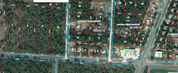 SE 30th Street, MORRISTON, FL 32668
