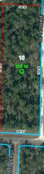 SE 30th Street, Morriston, FL 32668 - #2