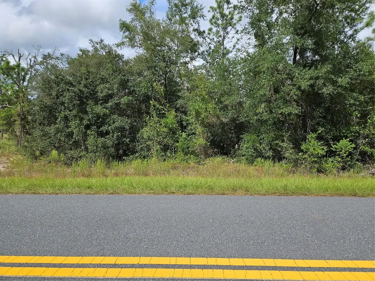 TBD SW Beach Boulevard, Dunnellon, FL 34431 - #1