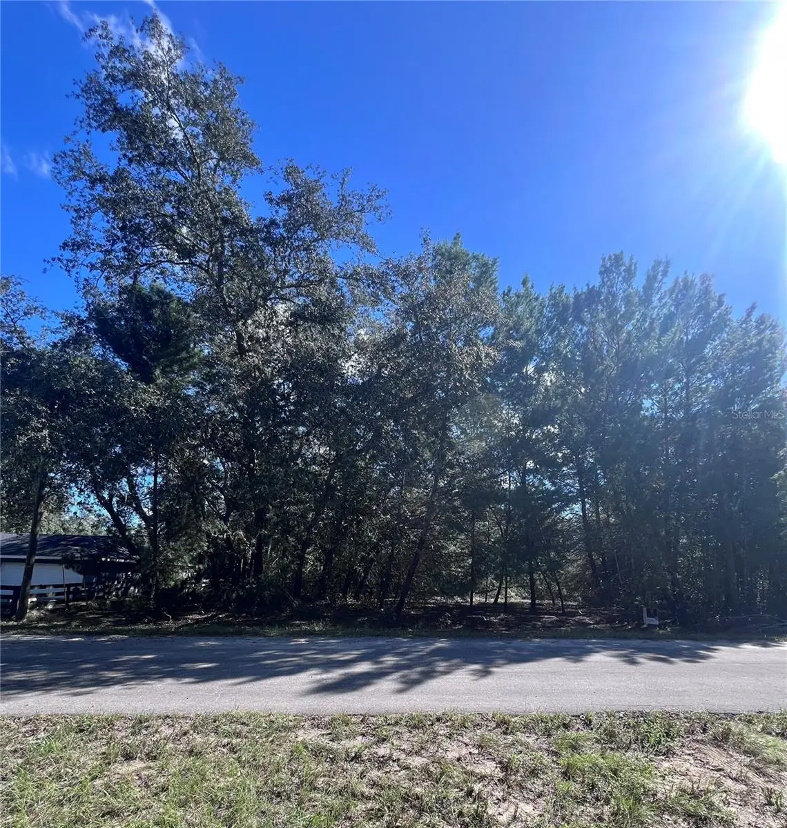 Fisher Way Trail, Ocklawaha, FL 32179 - #1