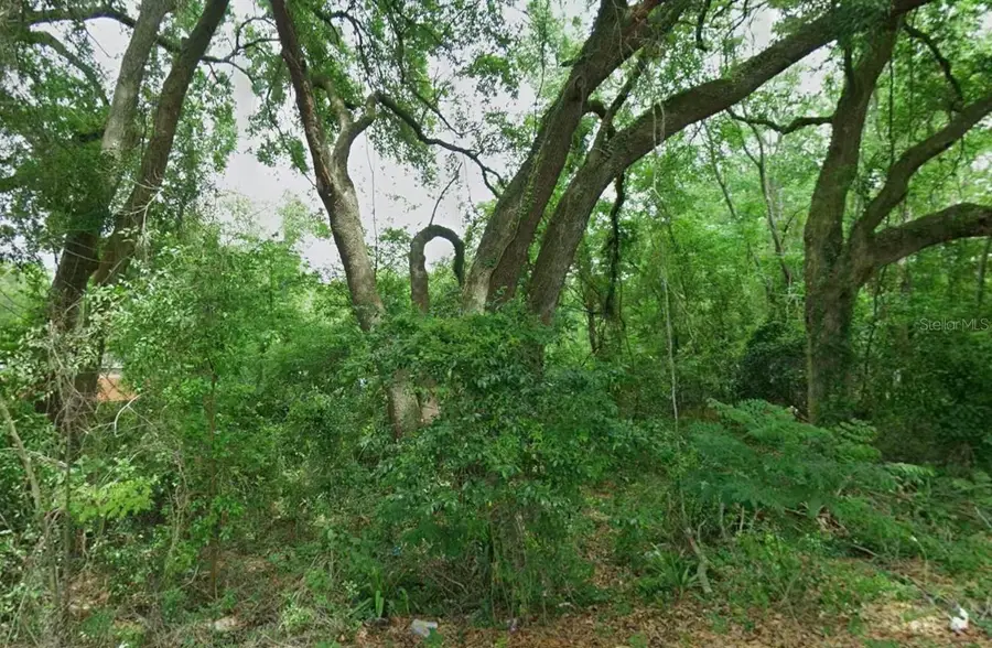 Lot 64 NE 162 Street, Citra, FL 32113 - #2