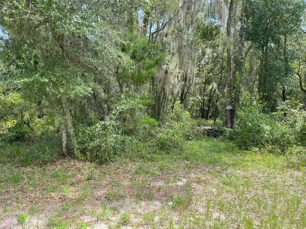 LOTS 15 & 16 SW Shorewood Drive, DUNNELLON, FL 34431