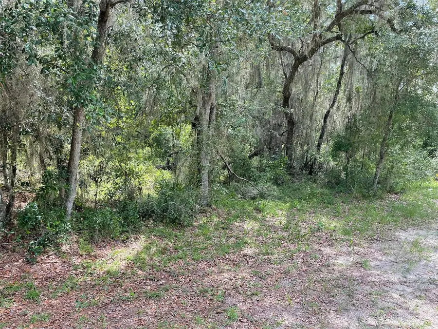 LOTS 15 & 16 SW Shorewood Drive, Dunnellon, FL 34431 - #2