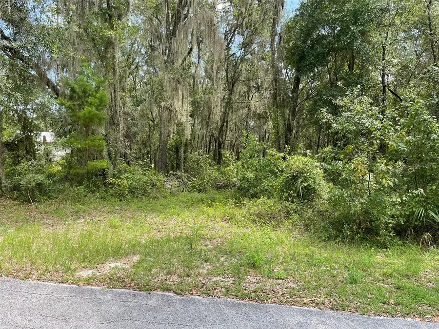 LOTS 15 & 16 SW Shorewood Drive, Dunnellon, FL 34431 - #3