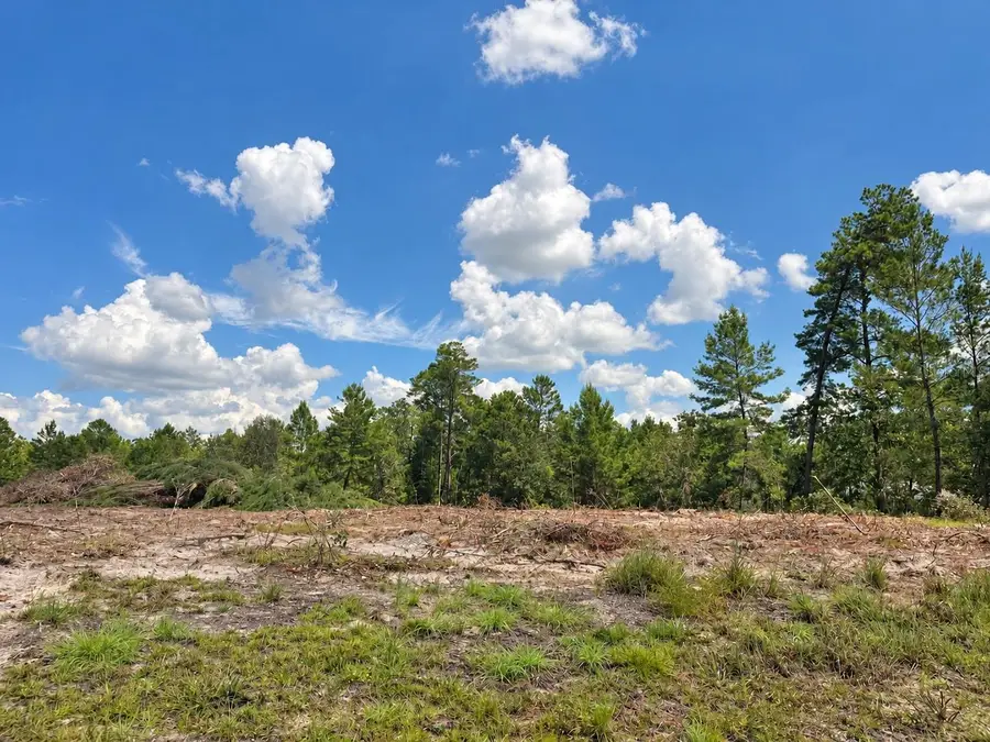 SE 128th Terrace, Morriston, FL 32668 - #3