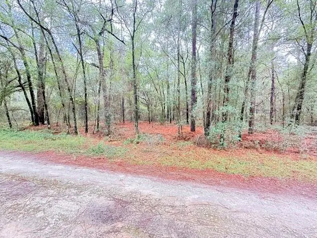 Sw 10th Pl, Ocala, FL 34481 - #1