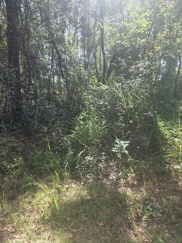 TBD SE 136th Lane, BELLEVIEW, FL 34420