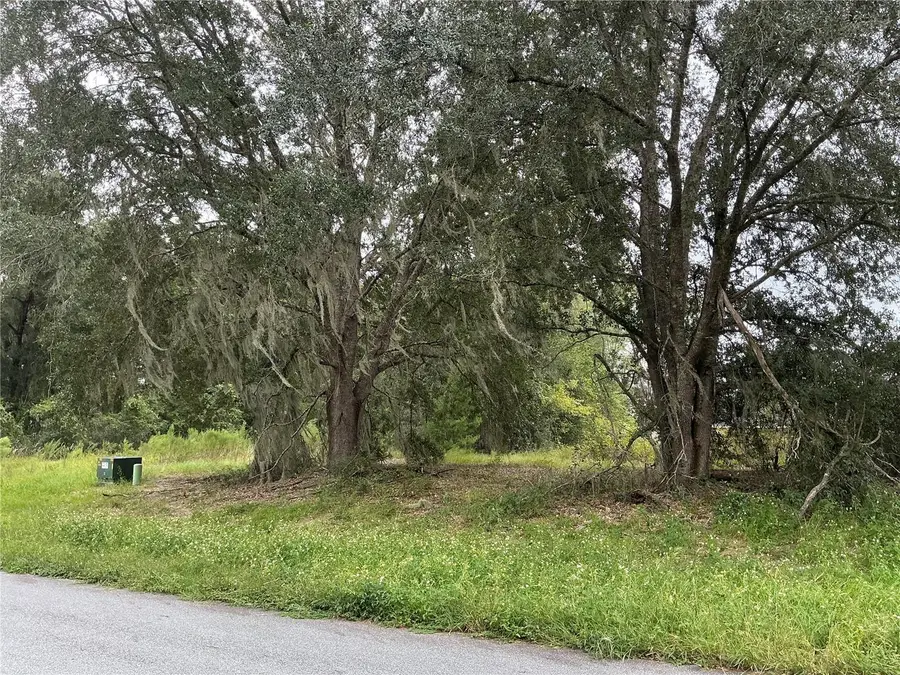 169th Street, Ocala, FL 34473 - #3