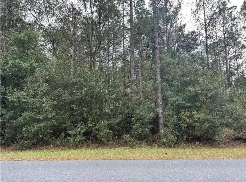00 SW 36 Avenue, Ocala, FL 34473 - #2
