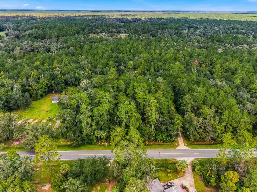 314 Highway Ne, Silver Springs, FL 34488 - #3