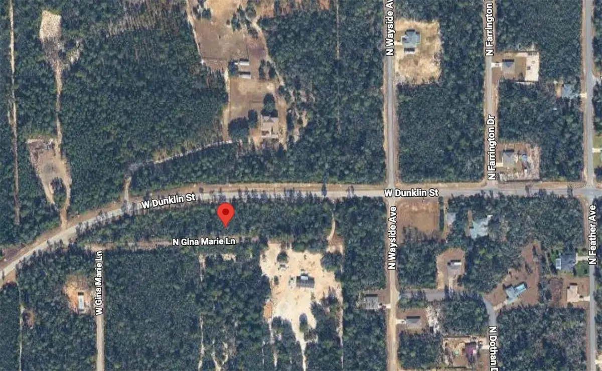 4600 W Dunklin Street, Dunnellon, FL 34433 - #1