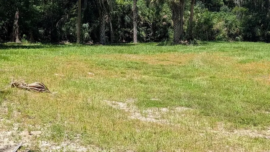 4040 SW 7th Avenue Road, Ocala, FL 34471 - #2
