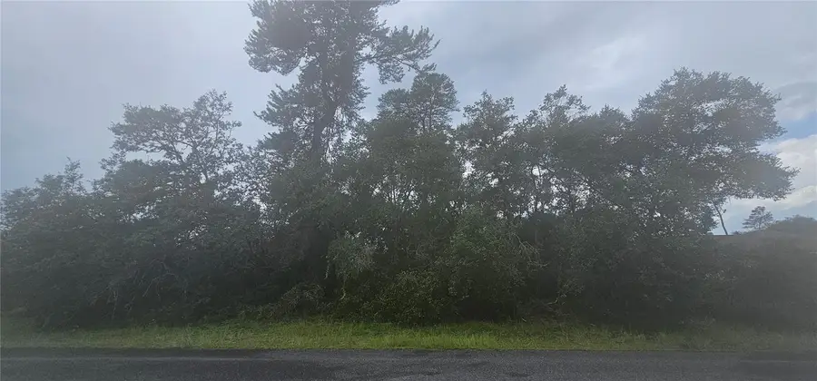 SW 24th Circle, Ocala, FL 34473 - #3
