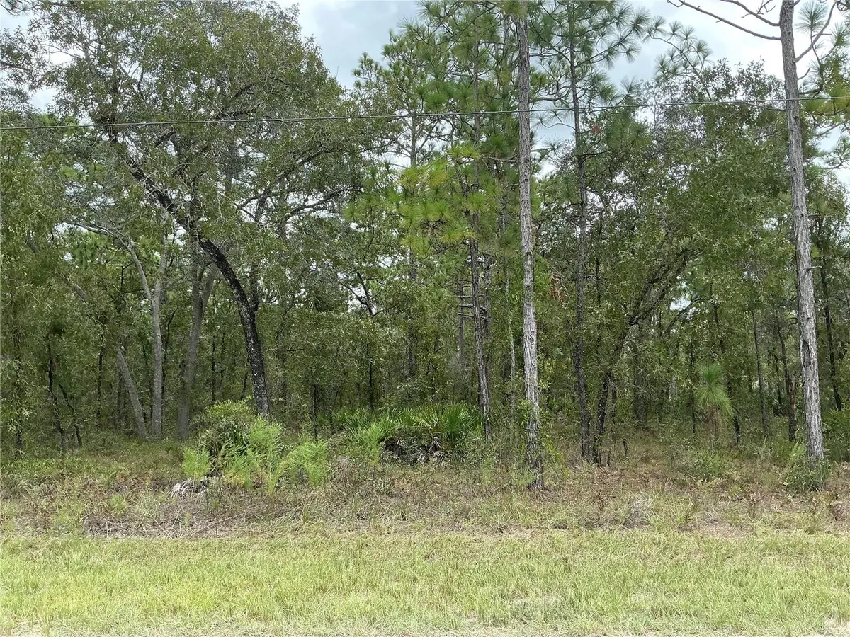 16118 Marsh Quail Road, Weeki Wachee, FL 34614 - #1