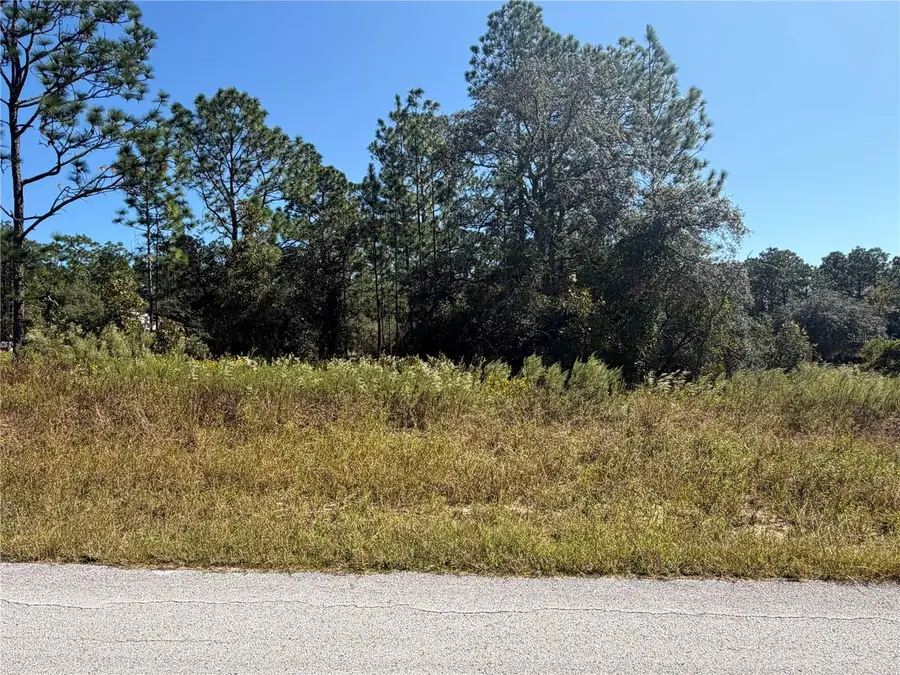 Lot 42 SW Azalea Court, Dunnellon, FL 34431 - #2