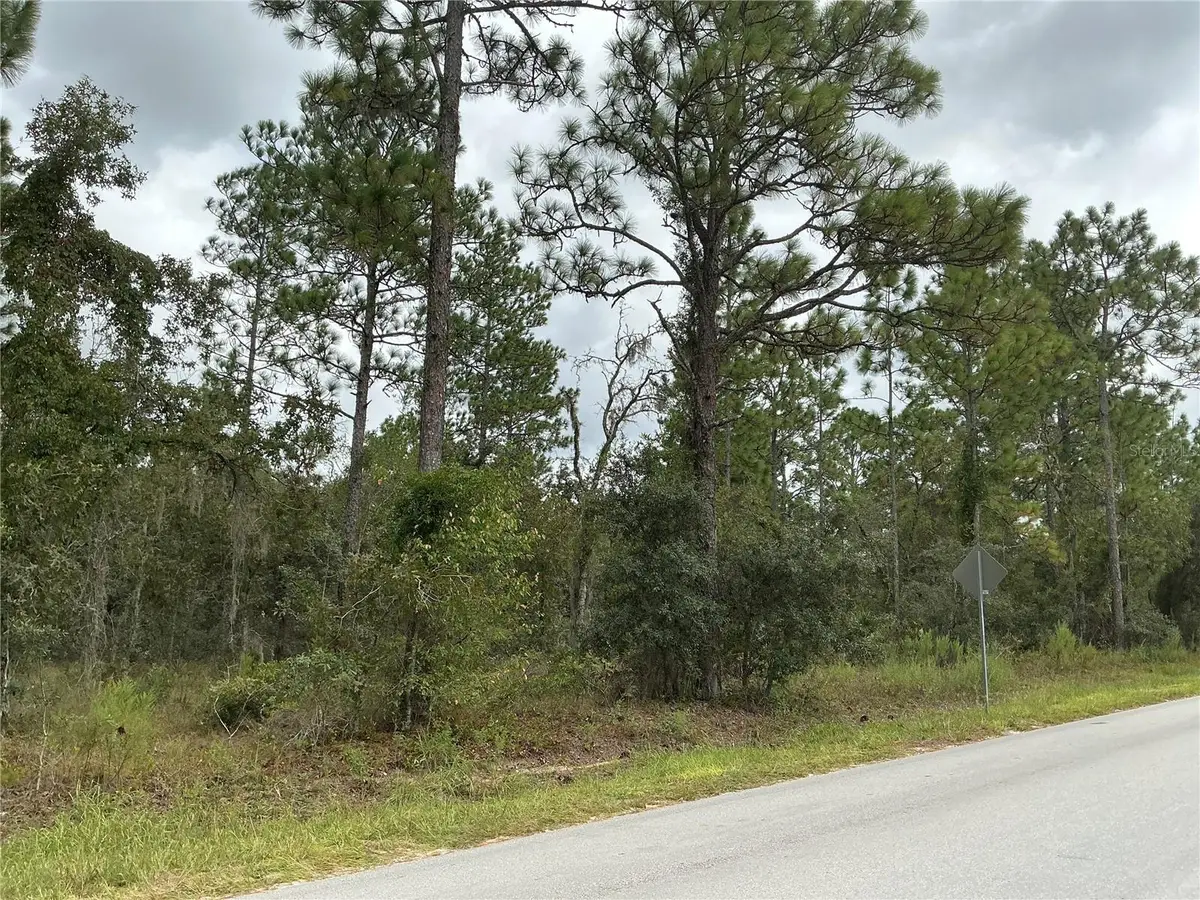 SW 85th Place, Ocala, FL 34473 - #1