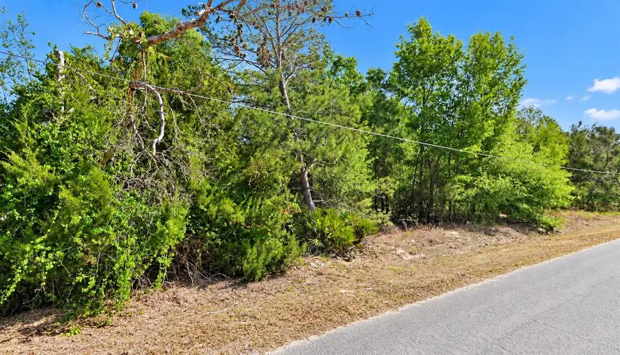 SE 108th Place, Belleview, FL 34420 - #2