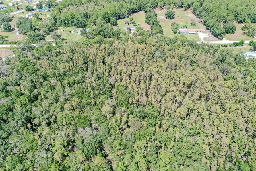 747 Miranda Trail, Lakeland, FL 33809 - Image #3