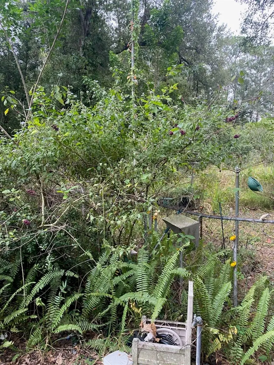 1051 Macon Road, Winter Haven, FL 33884 - Image #1