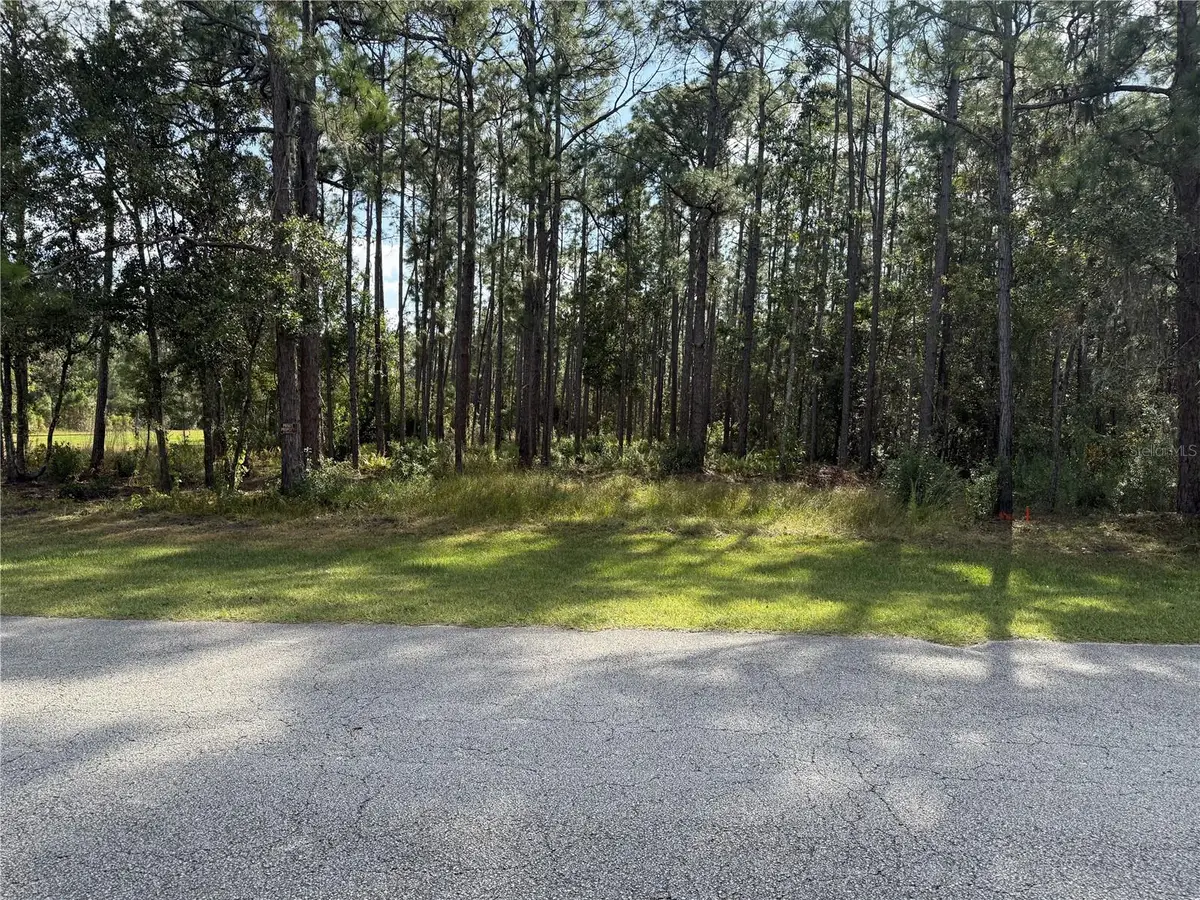 Limpkin Lane, Frostproof, FL 33843 - Image #1