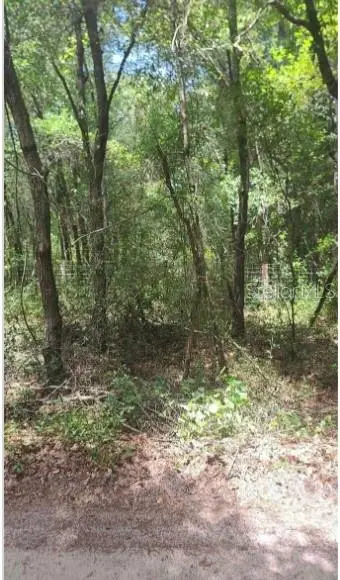 Southwest 156th Place, DUNNELLON, FL 34432