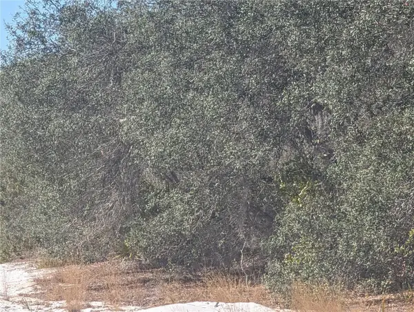 6 Hibiscus Drive, INDIAN LAKE ESTATES, FL 33855