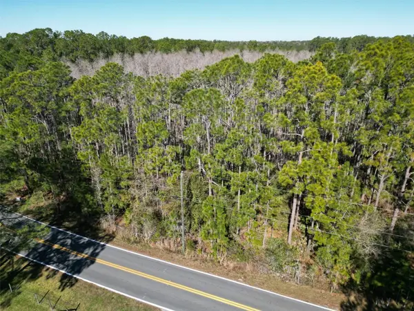 Green Pond Road, POLK CITY, FL 33868