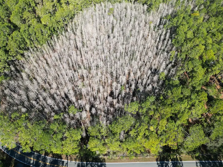 Green Pond Road, Polk City, FL 33868 - Image #3