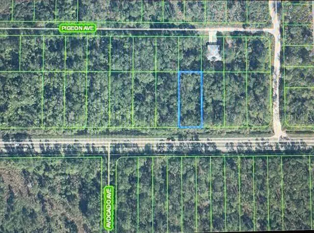 2600 Hammock Road, Sebring, FL 33872 - #3