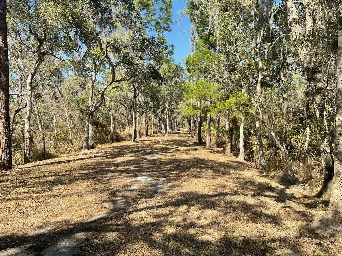 4051-3803 Dixiana Drive, Bowling Green, FL 33834 - #1