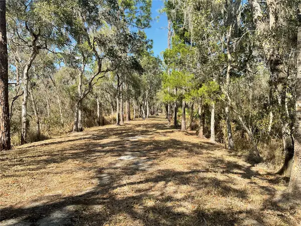 4051-3803 Dixiana Drive, BOWLING GREEN, FL 33834