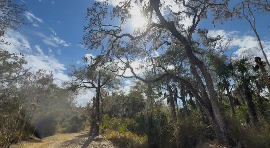 4051-3803 Dixiana Drive, Bowling Green, FL 33834 - #2