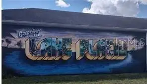 455 Nichele Boulevard, Lake Placid, FL 33852 - #3