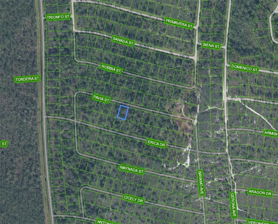 8655 Pavia Street, Sebring, FL 33872 - #2