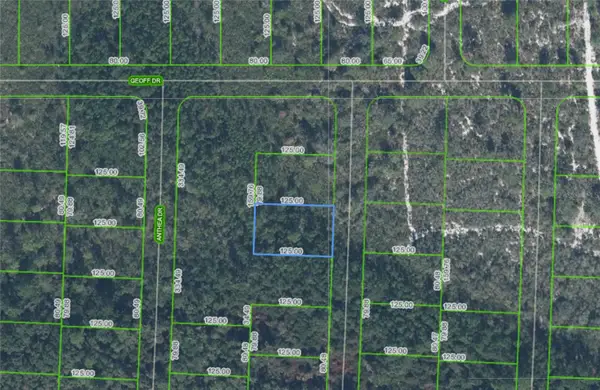 6316 Alicia Drive, SEBRING, FL 33872