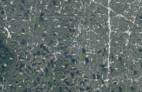 Address Withheld By Seller, SEBRING, FL 33872