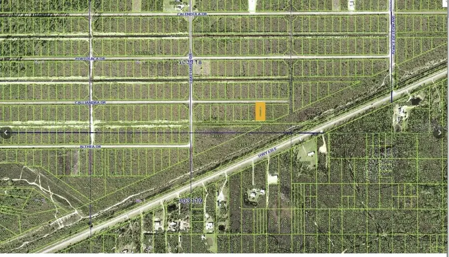 Calliandra Drive, Indian Lake Estates, FL 33855 - #3