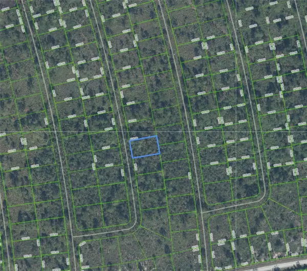 4336 San Pedro Drive, SEBRING, FL 33872