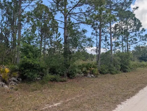 508 Orchid Drive, INDIAN LAKE ESTATES, FL 33855