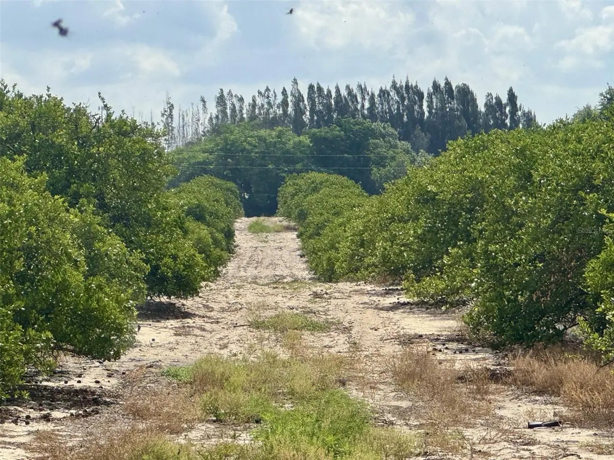 Crooked Lake Drive N, Babson Park, FL 33827 - #1